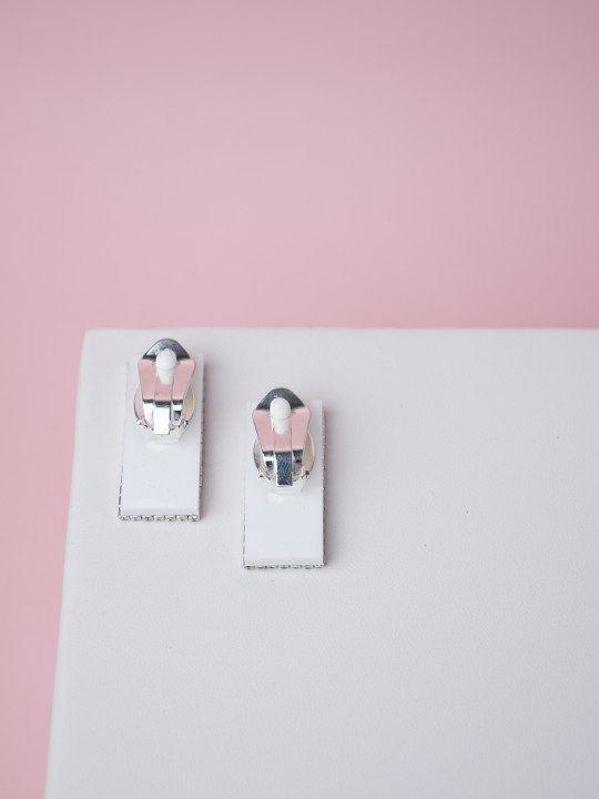 Клипсы Crystal Equator-1